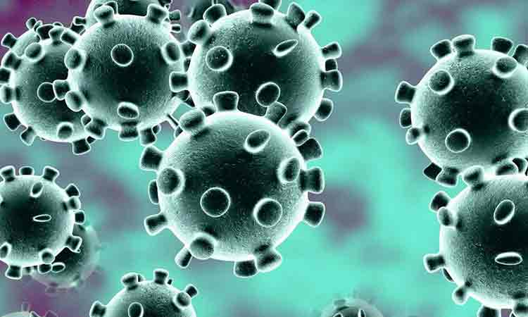 293 de noi cazuri de infectare cu coronavirus in Romania in ultimele 24 de ore. Bilantul oficial