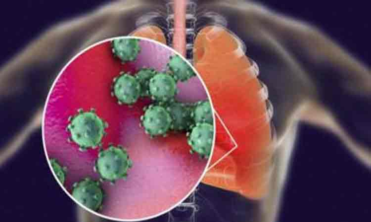 Cum se raspandeste noul coronavirus in organism. Ce organe ataca si in ce ordine