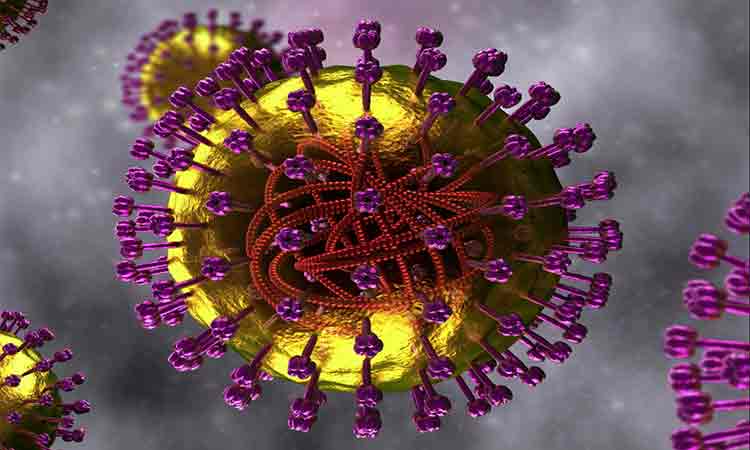 In plina pandemie, Romania este lovita de un alt virus care face victime. Ministerul Sanatatii avertizeaza