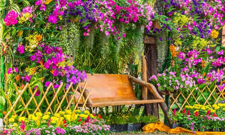 Amenajeaza-ti gradina cu plante care infloresc tot anul. 5 flori de care sa te bucuri in toate anotimpurile