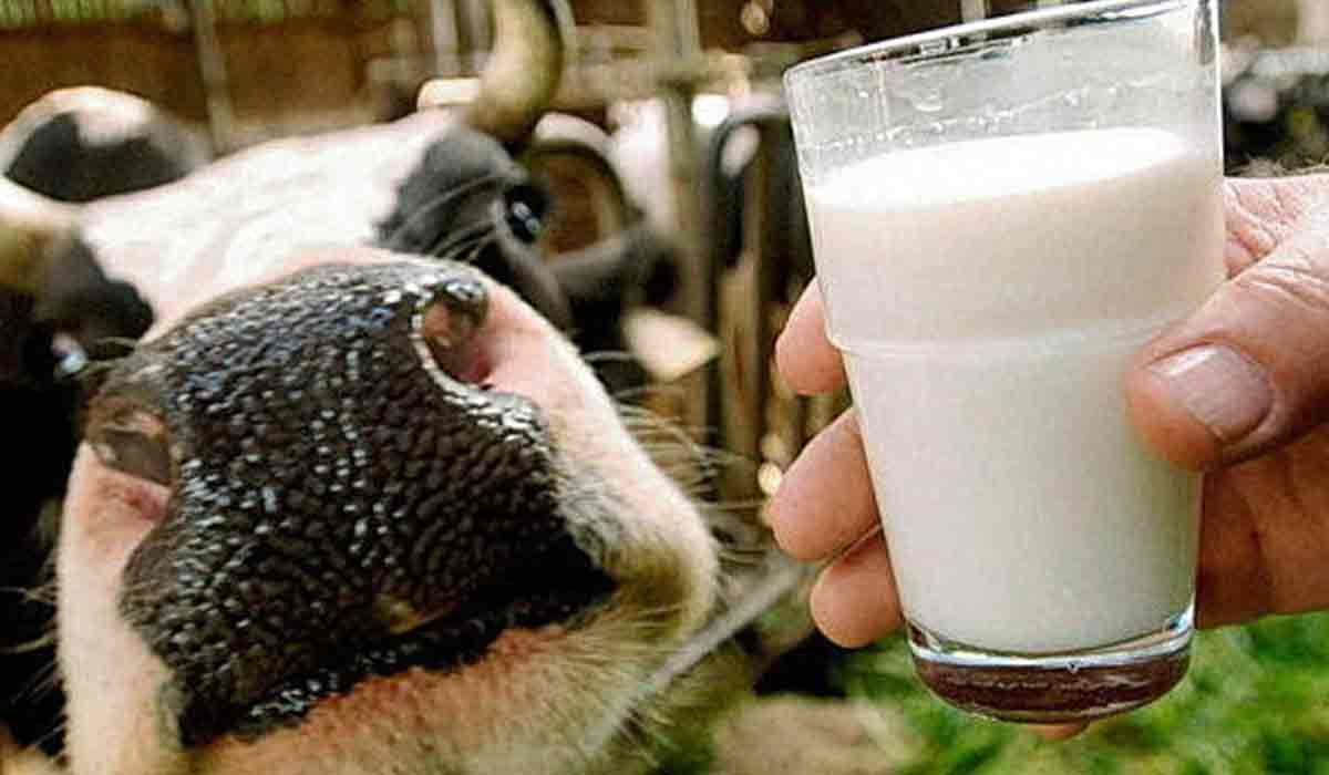 Cum iti dai seama ca laptele pe care il cumperi este falsificat