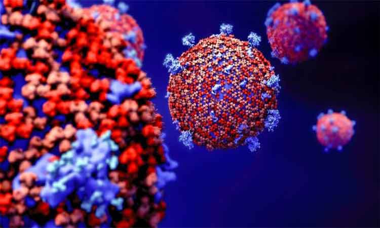 Organizatia Mondiala a Sanatatii admite ca 2 milioane de oameni pot deceda de coronavirus, lumea se apropie acum de 1 milion
