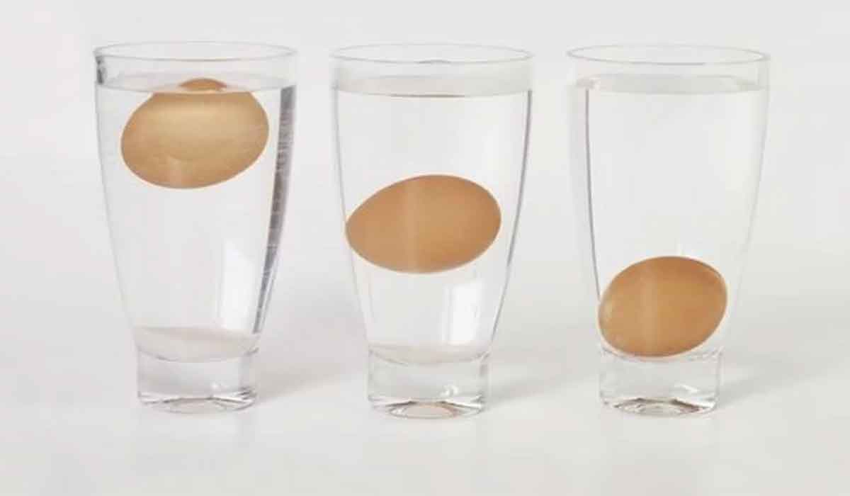 Cum putem afla acasa daca un ou este proaspat