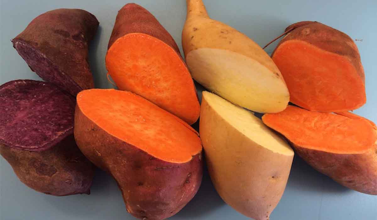12 beneficii uimitoare pentru sanatate si frumusete ale cartofilor dulci