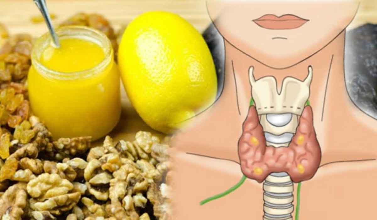 7 alimente care  ajuta la imbunatatirea functiei tiroidiene