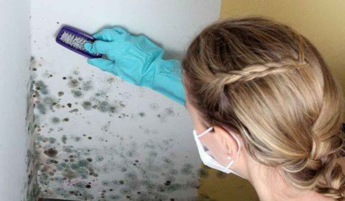 Cum sa scapi de mirosul de mucegai  din casa