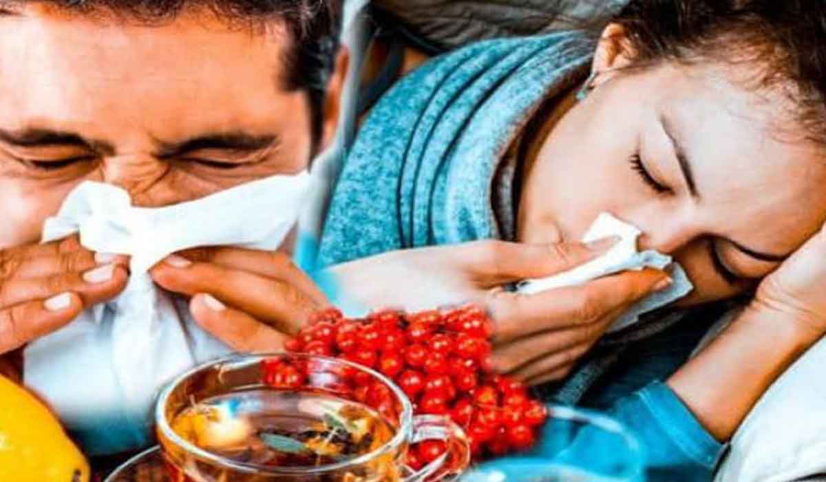 Cum se vindeca racelile si gripa cu remedii populare