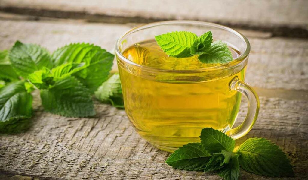 Beneficiile Ceaiului De Menta