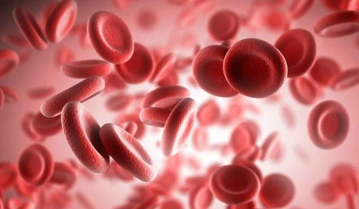 Ce este anemia si cum trebuie tratata
