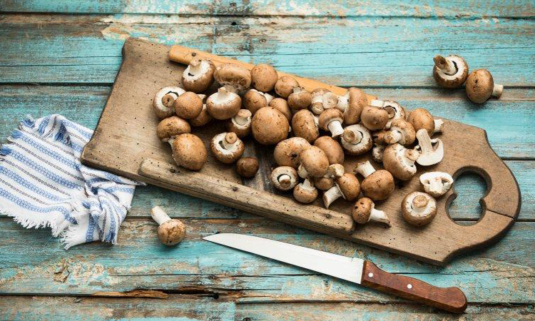 Ciupercile Champignon, galbiori, ciuperci pleurotus – uite de ce ar trebui sa le consumam cat mai des
