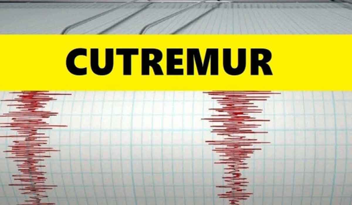 Cutremur in Romania in aceasta seara. Unde a avut loc si ce magnitudine a avut.