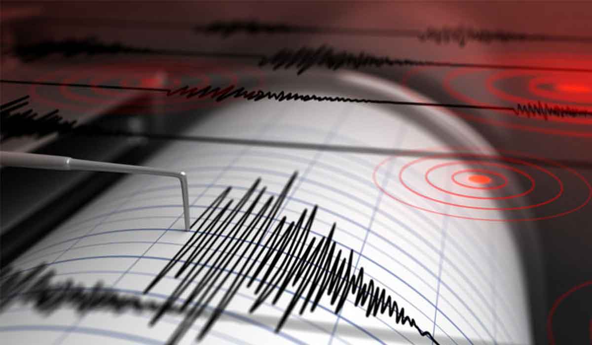 Un nou cutremur in Romania. Unde a avut loc si ce magnitudine a avut.