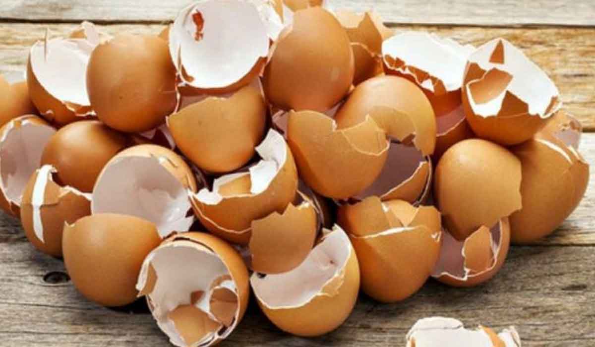 Puterea vindecatoare a cojilor de ou