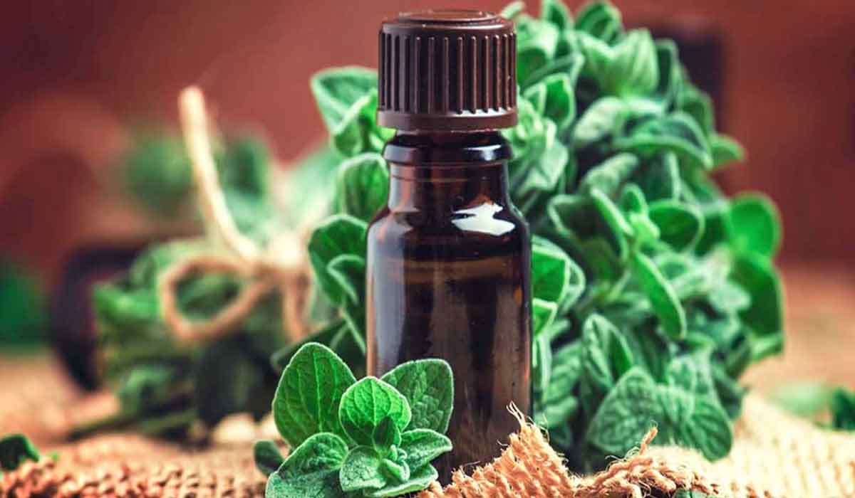 9 beneficii ale uleiului de oregano pentru sanatate, piele si par
