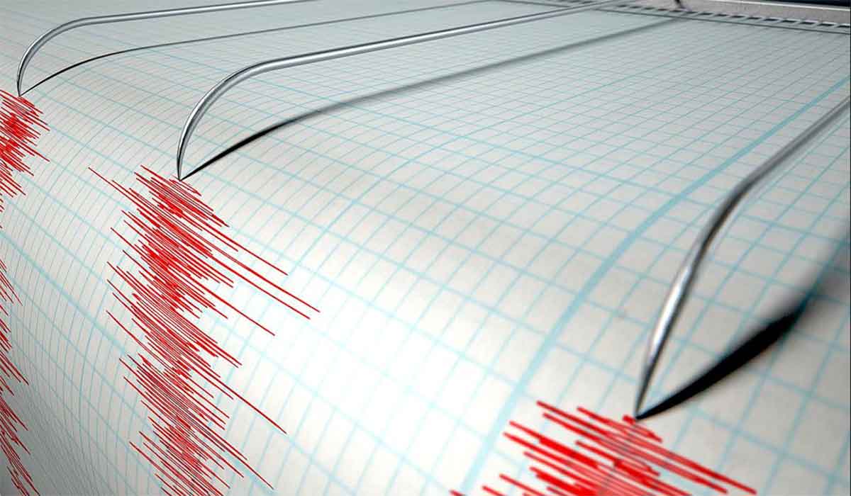 Un nou cutremur in Romania in aceasta dimineata. Unde a avut loc si ce magnitudine a avut.