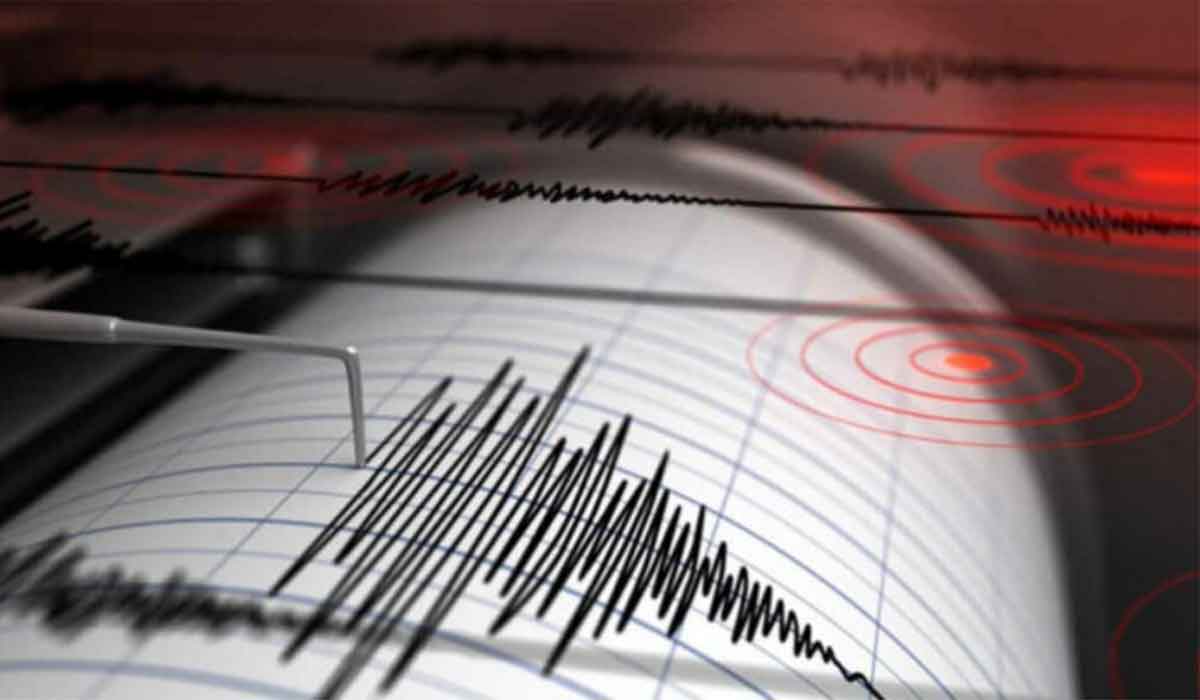 Un nou cutremur in Romania. Unde a avut loc seismul si ce magnitudine a avut