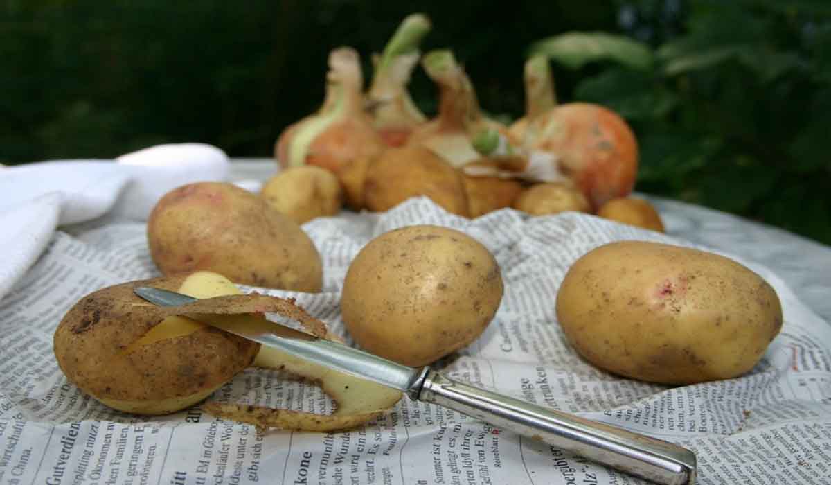 Care sunt principalele beneficii ale cartofilor