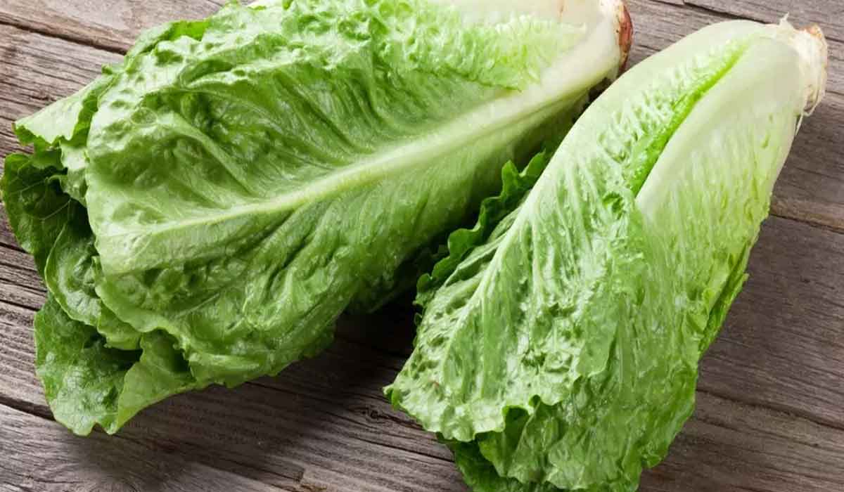 Cum arata salata Romano, beneficiile si caloriile sale