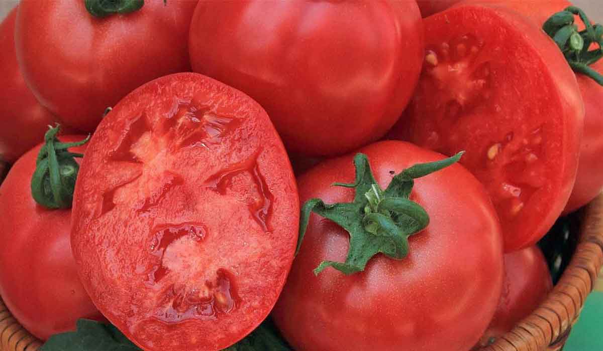 Cumperi rosii din piata? Iata cea mai simpla metoda de a scoate pesticidele si substantele toxice din tomate. Ai nevoie doar de un singur ingredient!
