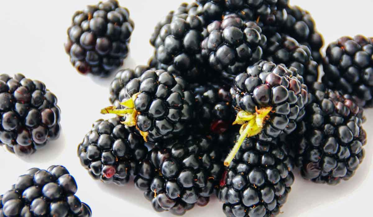 Top 5 cele mai utile fructe de padure pentru inima si vasele de sange
