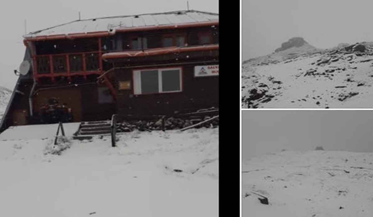 Video. A nins in toiul verii in Romania