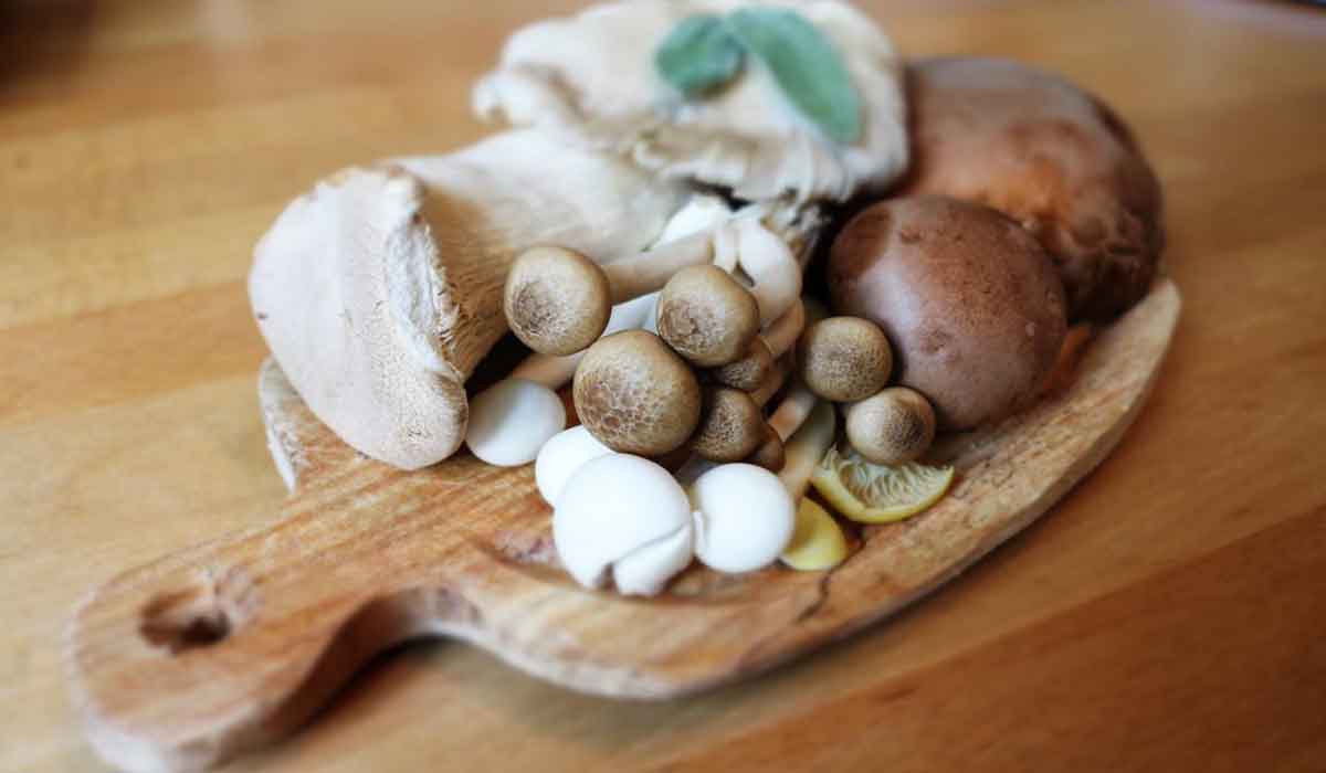 Cinci beneficii ale ciupercilor despre care s-ar putea sa nu stiti