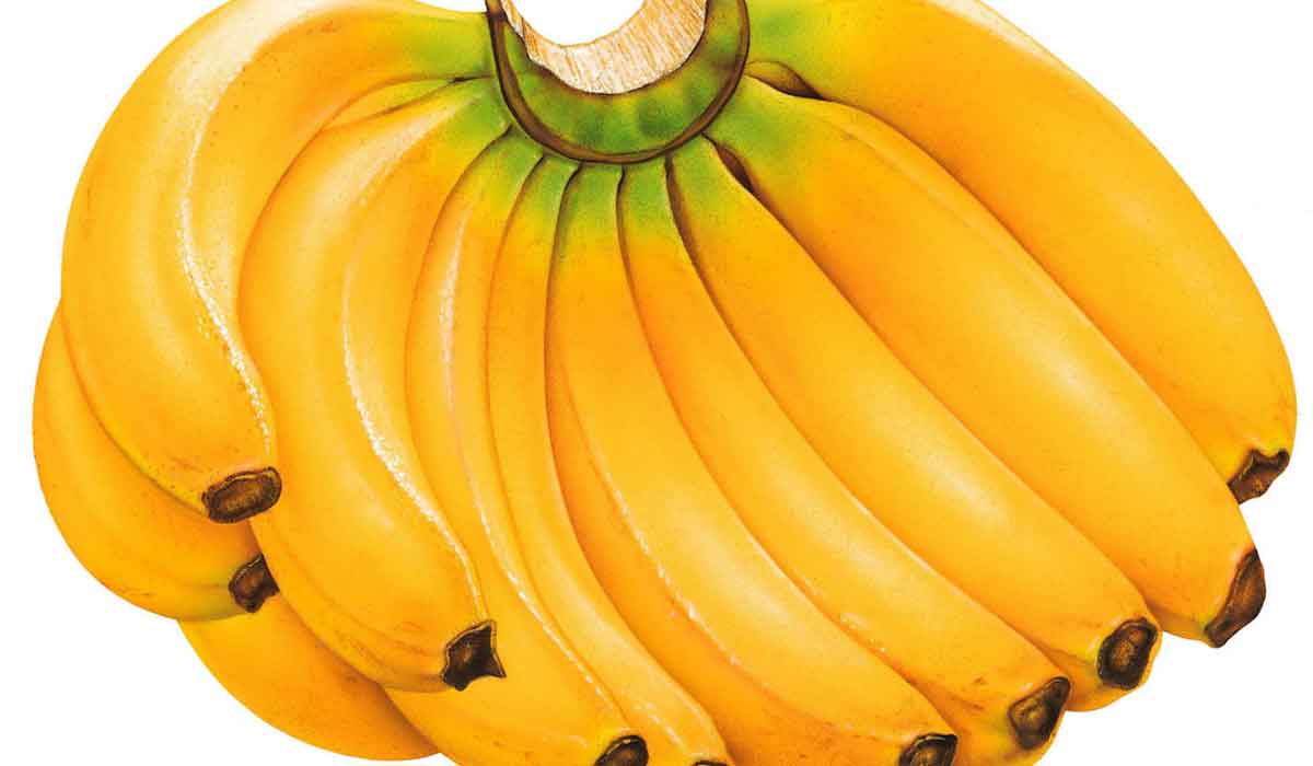 17 lucruri uimitoare care se intampla corpului tau atunci cand consumi banane