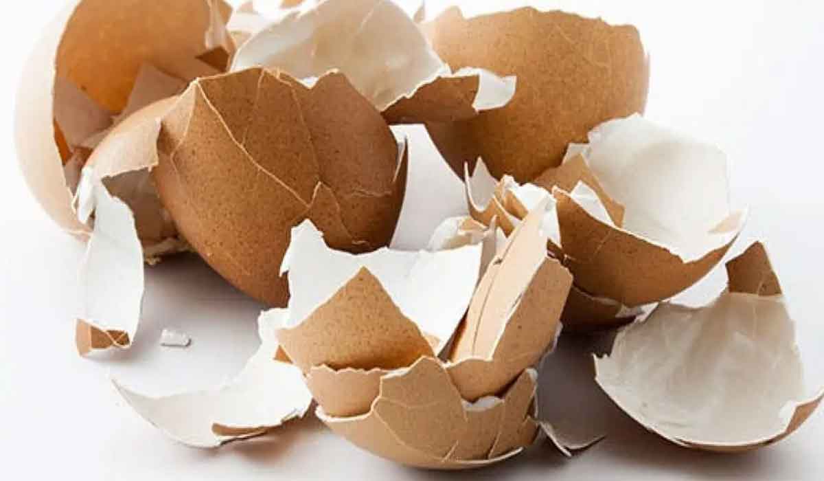 2 probleme de sanatate pe care le pot preveni cojile de oua