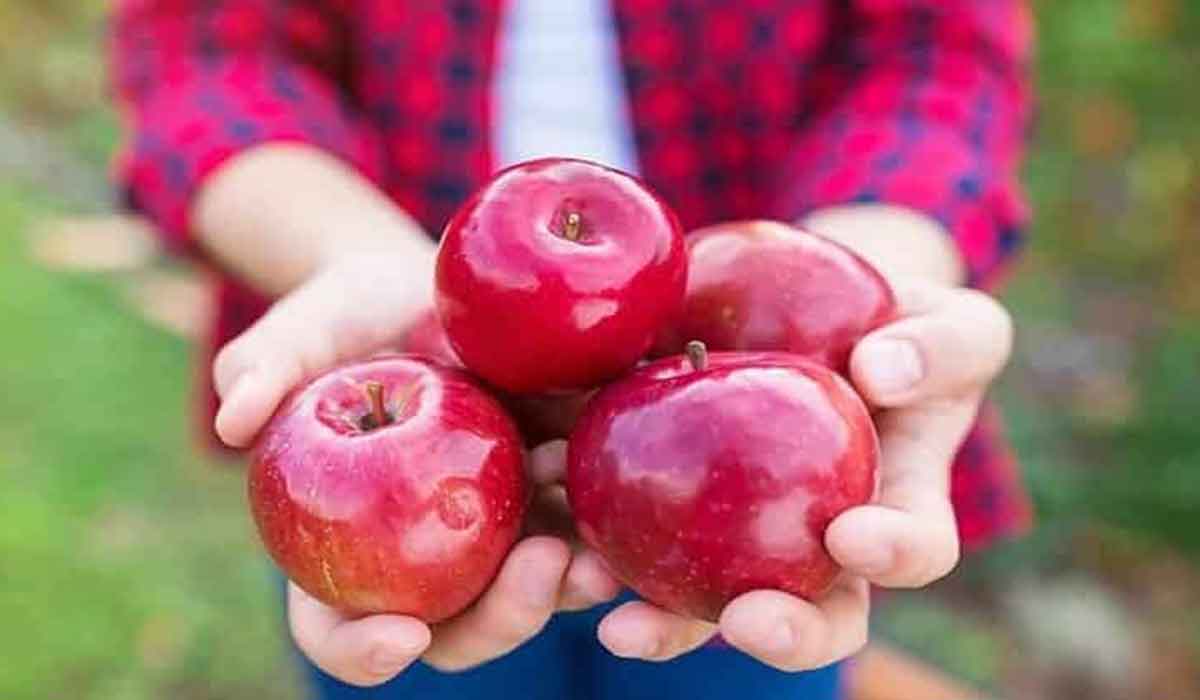 Beneficiile merelor si cum sa le consumati pentru a obtine cele mai multe beneficii