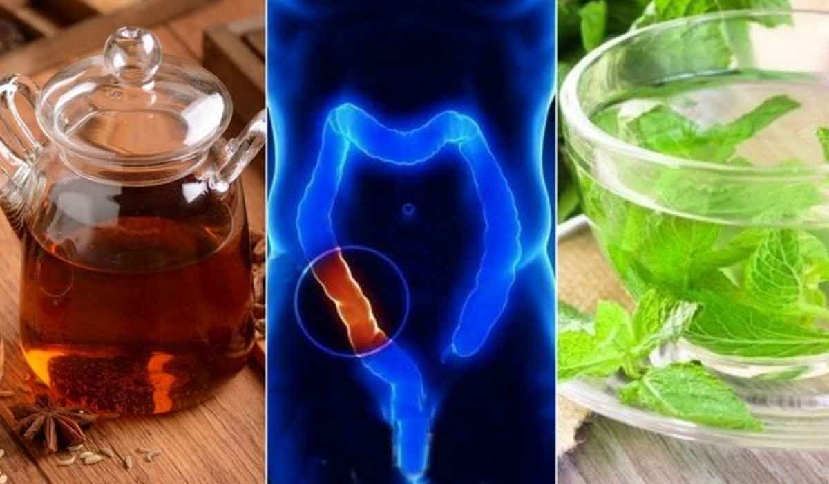 3 ceaiuri din plante pentru curatarea colonului si a intestinelor