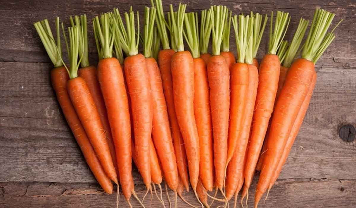 Care sunt beneficiile morcovilor?