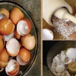 Nu mai trebuie sa arunci cojile de oua: sunt bune pentru oase si dinti