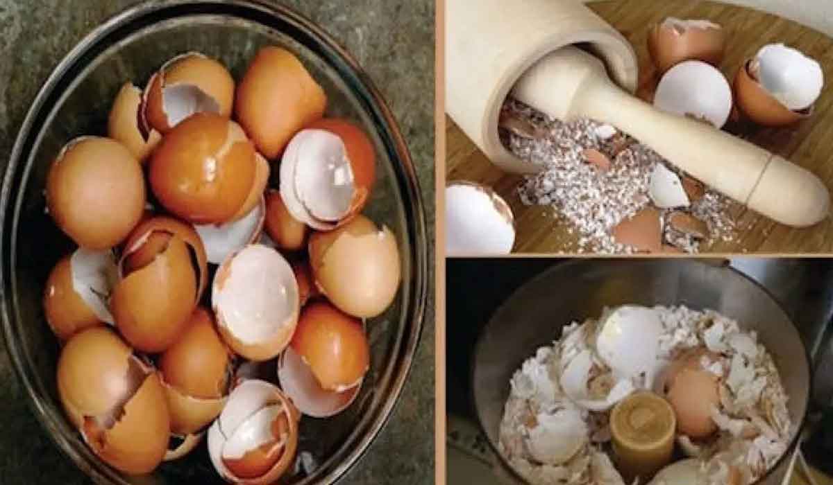 Nu mai trebuie sa arunci cojile de oua: sunt bune pentru oase si dinti
