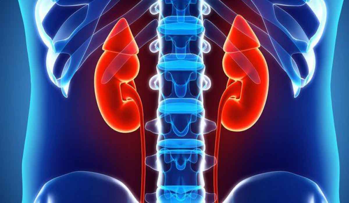 Probleme cu rinichii: 5 semne care ar trebui sa te alerteze