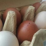 De ce nu ar trebui sa mananci mai mult de 7 oua pe saptamana