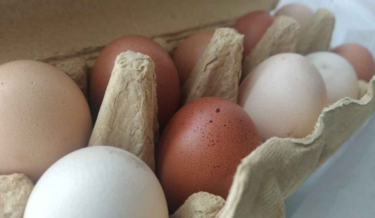 De ce nu ar trebui sa mananci mai mult de 7 oua pe saptamana