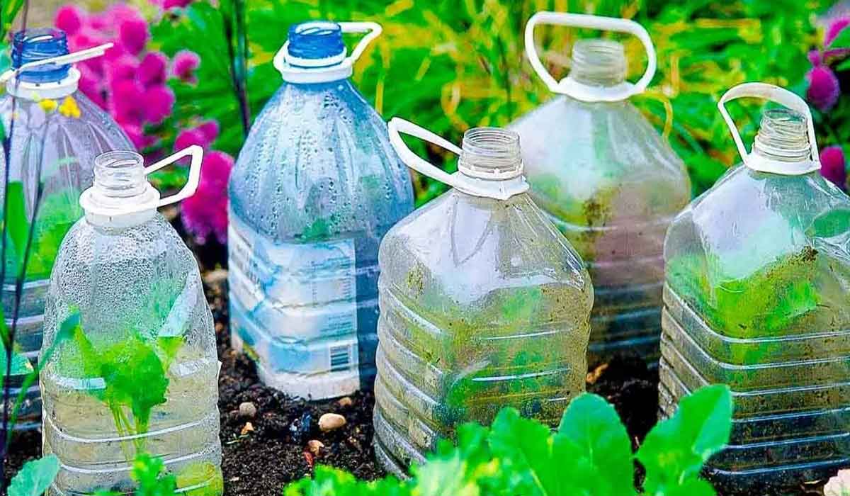 De ce este important sa plantezi sticle de plastic in gradina in octombrie?