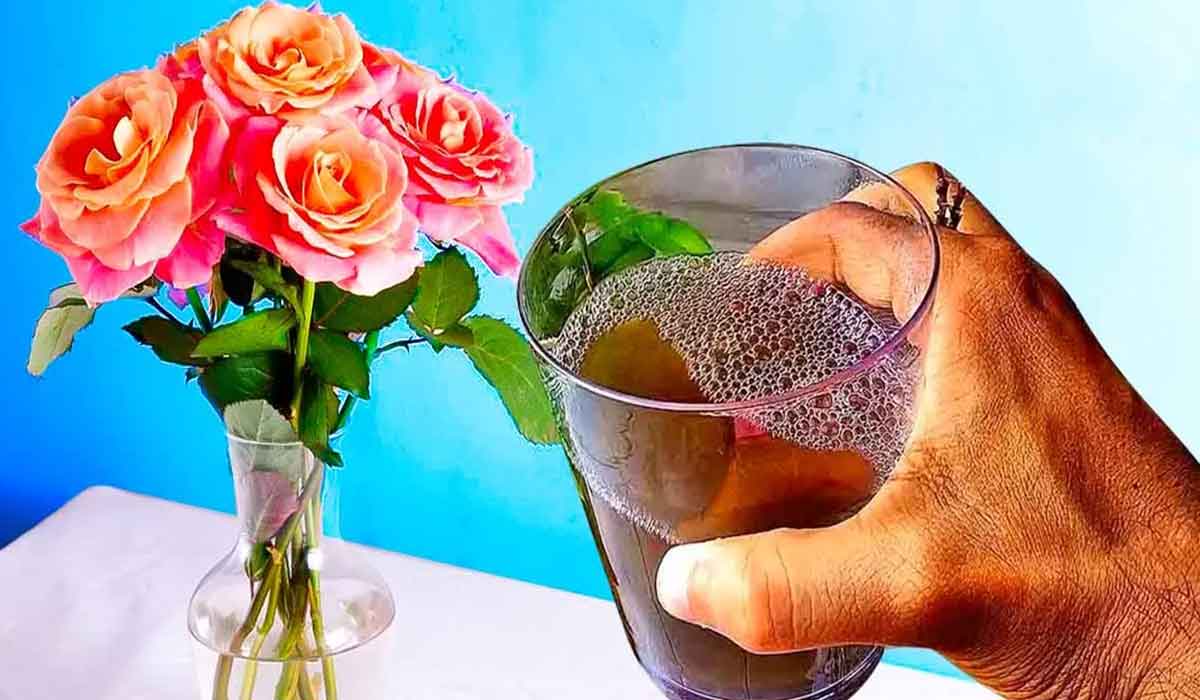 Cum poti pastra florile in vaza mai mult timp?