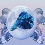 Horoscop zilnic, 2 octombrie 2023. Vesti bune pentru 3 zodii