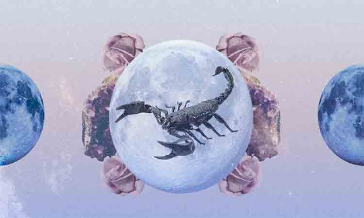 Horoscop zilnic, 27 noiembrie 2023. Trei zodii isi schimba destinul